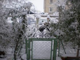 photo coins arrondis