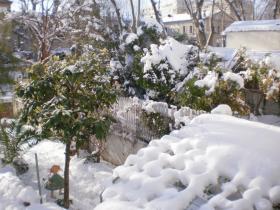 photo coins arrondis