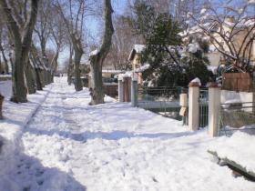 photo coins arrondis