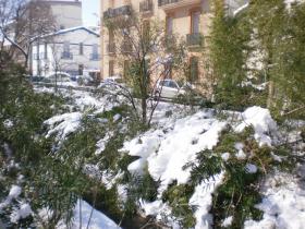 photo coins arrondis