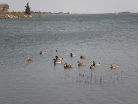 photo coins arrondis