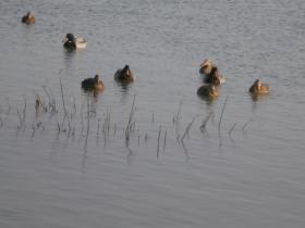 photo coins arrondis