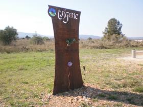 photo coins arrondis