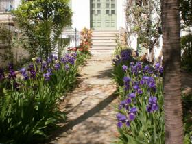 photo coins arrondis