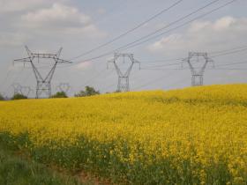 photo coins arrondis