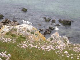 photo coins arrondis