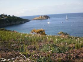 photo coins arrondis