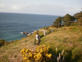 photo coins arrondis