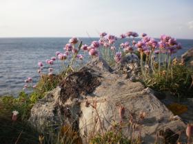 photo coins arrondis