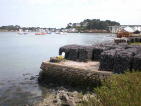 photo coins arrondis