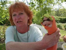 photo coins arrondis