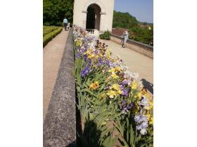 photo coins arrondis