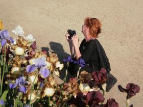 photo coins arrondis