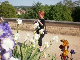 photo coins arrondis