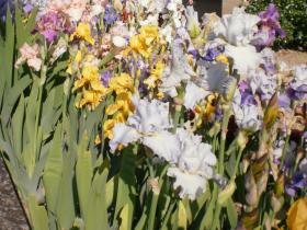 photo coins arrondis