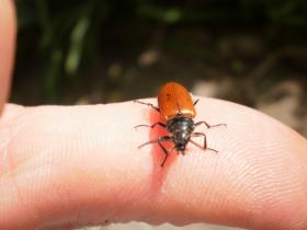 photo coins arrondis