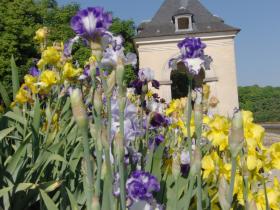 photo coins arrondis