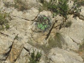 photo coins arrondis