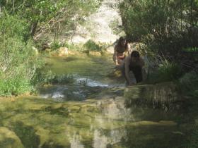 photo coins arrondis