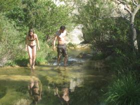 photo coins arrondis