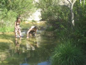 photo coins arrondis