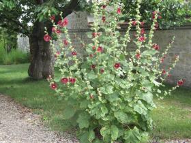 photo coins arrondis