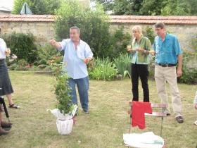 photo coins arrondis