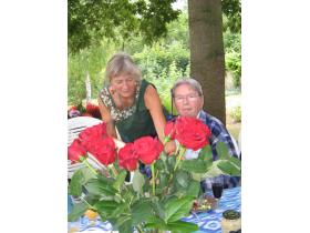 photo coins arrondis