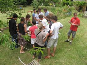 photo coins arrondis