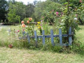 photo coins arrondis