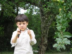 photo coins arrondis