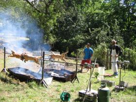 photo coins arrondis