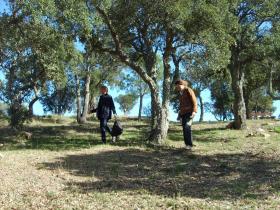 photo coins arrondis