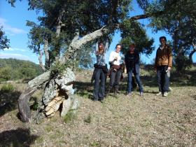 photo coins arrondis