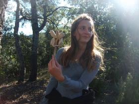 photo coins arrondis