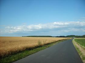 photo coins arrondis