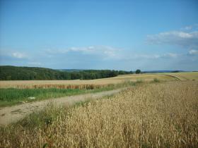 photo coins arrondis