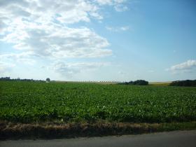 photo coins arrondis