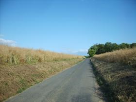 photo coins arrondis