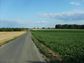 photo coins arrondis