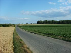 photo coins arrondis