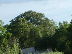 photo coins arrondis