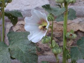 photo coins arrondis