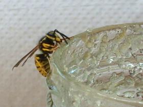 photo coins arrondis