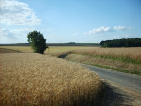 photo coins arrondis