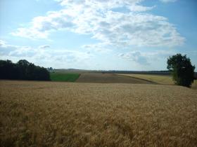 photo coins arrondis