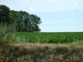 photo coins arrondis