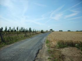 photo coins arrondis