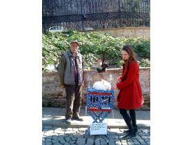 photo coins arrondis