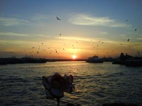 photo coins arrondis